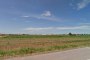 Building area in Asigliano Veneto (VI) - LOT 2G 2