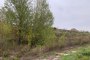 Building area in Castelplanio (AN) - LOT 7 3