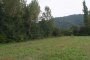 Agricultural lands in San Polo Matese (CB) - LOT 8 1
