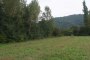 Landbouwgrond in Bojano (CB) - LOT 9 1