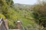 Agricultural lands in Spinetoli (AP) - SHARE 2/3 - LOT 7 2