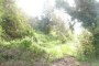 Terreno boschivo a Bassano del Grappa (VI) - LOTTO 16 4