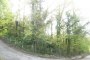 Terreno boschivo a Bassano del Grappa (VI) - LOTTO 16 5