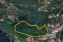 Wooded land in Bassano del Grappa (VI) - LOT 16 1