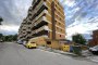 Locales comerciales y almacén en Folignano (AP) - LOTE 11 1