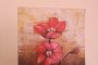 N. 2 Paintings Depicting Two Poppies 1