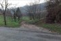 Terreni agricoli a Valdagno (VI) - Nuda Proprietà 2