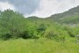 Terreni agricoli a Borgo (TN) - LOTTO D3 3