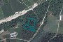 Agricultural lands in Caldonazzo (TN) - LOT E1 1
