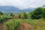 Agricultural land in Caldonazzo (TN) - LOT G17 3