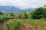 Agricultural land in Caldonazzo (TN) - LOT G17 3