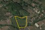 Agricultural lands in Monterosi (VT) - SHARE 1/2 1
