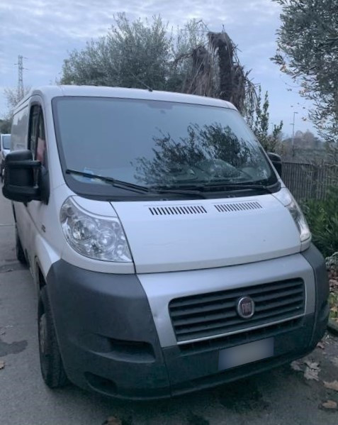 Opel and FIAT vans - Cold store and trolleys - Bank. 120/2020 - Florence Law Court