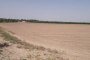 Agricultural land in Cerignola (FG) - SHARE 1/2 4