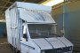 Autocarro Trasporto Animali FIAT IVECO Daily 35 F8 2