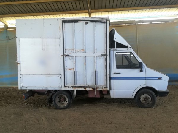 FIAT IVECO Daily for - Animal transport - Caltanissetta L.C. - Sale 2