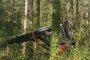 Valmet 901-II Forest Harvester 4