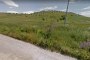 Agricultural lands in Lucera (FG) - LOT 3 2