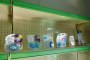 Prodotti Farmaceutici, Cosmetici e Articoli per L'Infanzia 3