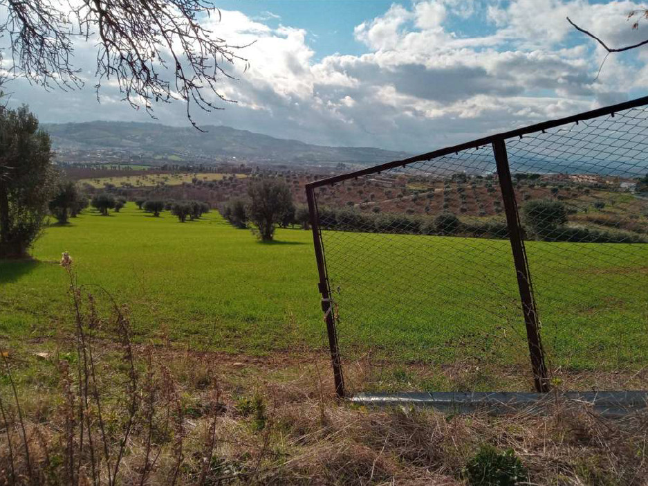 Agricultural lands in Martinsicuro (TE) - LOT 4