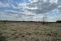 Building land in Fratta Polesine (RO) - LOT 2A 4