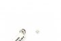 Orecchini Oro Bianco 18 Carati - Diamanti 0,10 ct 2