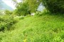 Terrenos agrícolas en Grigno (TN) - LOTE 3 4