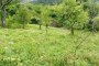 Agricultural lands in Grigno (TN) - LOT 3 5