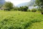 Agricultural lands in Grigno (TN) - LOT 5 3