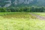 Terreno agricolo a Grigno (TN) - LOTTO 6 3