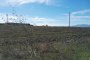 Cava di argilla a Lucera (FG) - LOTTO 2 3