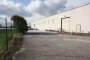 Industrial building with agricultural land in Trecastelli (AN) - LOT 6 5
