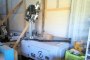 Torre Far Elcos TF M 4X150L.TL 2