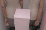 Lotto di Manichini 5