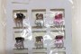 Hair Clips, Rubber Bands and Hair Accessories 6