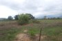 Building lands in Fondi (LT) - LOT 42 4