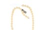 Cultured Pearls Necklace 1