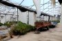 N. 9 Arched Structures for Greenhouses 4