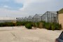 N. 24 Greenhouses with Glass 1