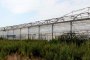 N. 7 Arched Structures for Greenhouses 1