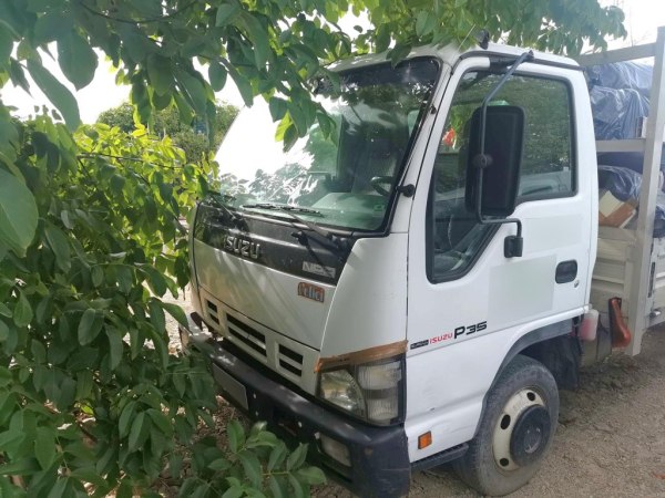 Autocarro Isuzu - Attrezzatura per Edilizia - Fall. 39/2022 - Trib di Perugia - Vendita 2