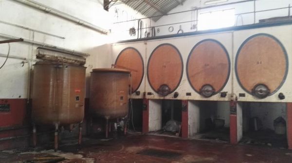 Azienda Vinicola - Macchinari e Attrezzature - Fall. 37/2020 - Trib di Foggia