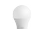 Lampadine a Led - B 1