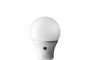 Led Bulbs - L 1