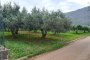 Agricultural land in San Vito Lo Capo (TP) - LOT 1 2