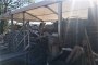 Tensostrutture, Gazebo e Palco 6