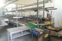 Vegetable Processing Line 3