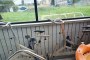 Attrezzature per Acquagym e Piscina 2