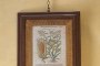 N. 2 Ancient Numbered Prints 1