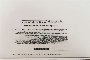MacBook Air 13" - Nuovo 4